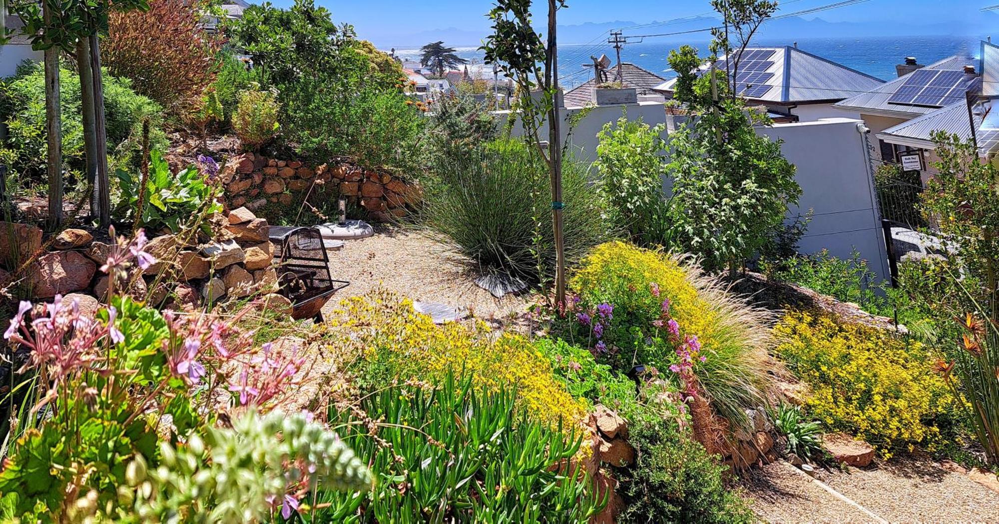 The Dragon Tree Guesthouse Kalk Bay Exterior foto